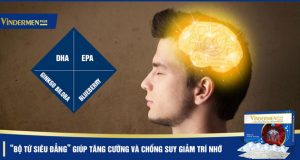 “Bộ tứ siêu đẳng” giúp tăng cường và chống suy giảm trí nhớ